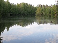 Der Weißensee im Erlenstegener Forst