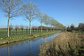 Lange Avontuurseweg nabij Culemborg