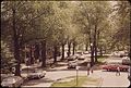 Once Neptune Road led to Wood Island Park and the sea. Now it is bounded by a fence and the Logan Airport runway area. (May 1973)