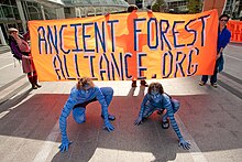 Deux personnes entièrement peintes en bleu sont accroupies devant un panneau orange avec portant l’inscription « Ancient Forest Alliance ».