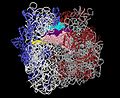 Ριβόσωμα Eubacterial 70S από Thermus thermophilus.