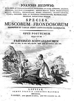 Species Muscorum Frondosorum opus posthumum