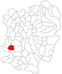 Location in Caraș-Severin County