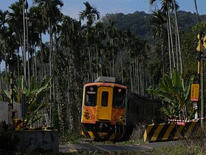 集集線を走るDR1000型気動車