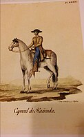 Caporal de Hacienda (1828). El caporal era el capitán de los vaqueros