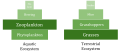 Image 94Biomass pyramids. Compared to terrestrial biomass pyramids, aquatic pyramids are generally inverted at the base. (from Marine food web)