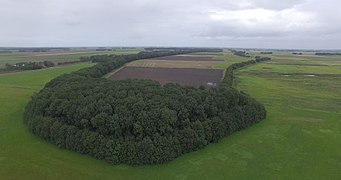 Photographie en couleurs et en hauteur d'une bois aux arbres en feuilles et de parcelles de terre ceinturés par des prairies