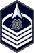 Master sergeant insignia