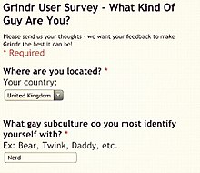 Capture d'écran. Grinder User survey - What Kind Of Guy Are You ? Please send us your thoughts : we want your feedback to make Grindr the best it can be! Where are your located ? Your country: United Kingdom. What gay subculture do you most identify yourself with? Ex: Bear, Twink, Daddy, etc. Answer: Nerd
