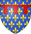 D'azur semé de lys d'or au lambel de gueules. Ce sont les armes de Charles, frère de saint Louis, dernier fils de Louis VIII, brisant par un lambel celles de son père. À travers les nombreuses et prestigieuses alliances de la maison capétienne d'Anjou-Sicile qu'il fonde, ces armes se rencontrent dans toute l'héraldique européenne.