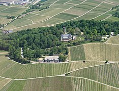 Der Wartberg bei Heilbronn mit Gaststätte und Turm