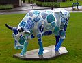 Cow at Heriot-Watt University