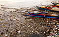 Image 108 Mudflat pollution (from Marine habitat)