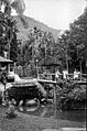 Parque Halfeld em 1909: lago, ponte e quiosque com estrutura imitando bambu