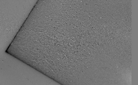 Magnetic domains and domain walls in non-oriented silicon steel (image made with CMOS-MagView)