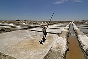 Sea-salt pans in Marakkanam in Tamil Nadu, India