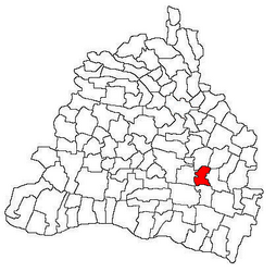 Location in Dolj County