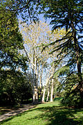 Parco di Villa Guiccioli