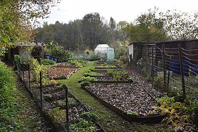 Public gardens on the edge of Laerbeek Wood