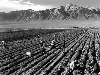 Photographie en noir et blanc d’Ansel Adams représentant des travailleurs agricoles du camp d'internement Manzanar devant le mont Williamson en 1943 aux États-Unis. (définition réelle 2 000 × 1 500)