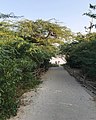 Entrance to White Sand Beach