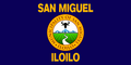 Flag of San Miguel