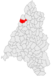 Location in Bihor County