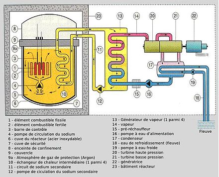 description d'un réacteur à neutrons rapides caloporteur sodium