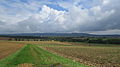 Haßberge bei Kerbfeld