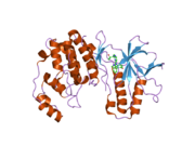 2ghm: Mutated MAP kinase p38 (Mus musculus) in complex with inhbitor PG-895449