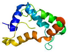 Protein GFRA1 PDB 1q8d.png