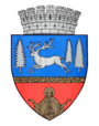 Bacău – znak