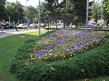 Zaprešić city center