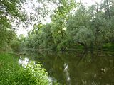 naturprotektejo "Horreninsel" flanke de la Rejno