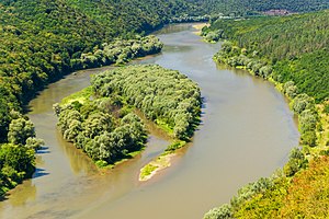 Острів Інь-Янь на Дністрі поблизу села