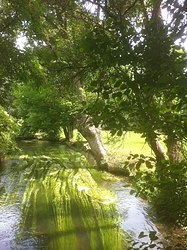 The Iton stream in Brosville
