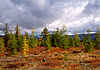 Kolyma nature