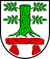 Tronco di quercia di verde, sradicato e scoronato (Köhn, Germania)