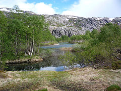 Frå Kvanndalen landskapsvernområde