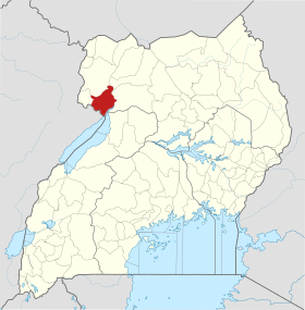 Nebbi (district)