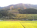 Rice paddies in Ōzu