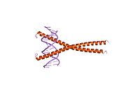 1gu4: CRYSTAL STRUCTURE OF C/EBPBETA BZIP DIMERIC BOUND TO A HIGH AFFINITY DNA FRAGMENT