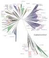 Image 8A 2016 metagenomic representation of the tree of life using ribosomal protein sequences. The tree includes 92 named bacterial phyla, 26 archaeal phyla and five eukaryotic supergroups. Major lineages are assigned arbitrary colours and named in italics with well-characterized lineage names. Lineages lacking an isolated representative are highlighted with non-italicized names and red dots. (from Marine prokaryotes)