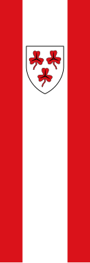 Drapeau de Mettingen