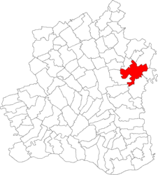 Location in Teleorman County