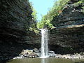 Cataratas Cedar en el Parque estatal Petit Jean