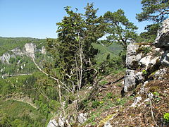 Bild 10: Gebäudeecke des Wohnturmes am nordwestlich steil abfallenden Burgfels