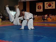 Hapkido-Meisterschaft in Korea