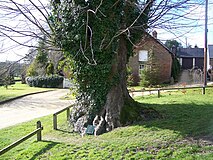 Martyrs Tree