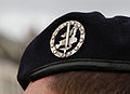 Beret badge.